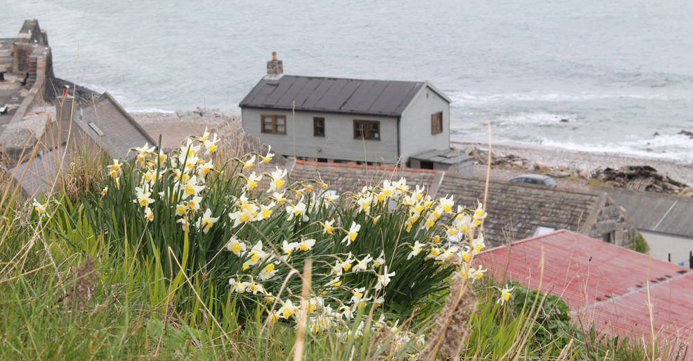 seaside cottages