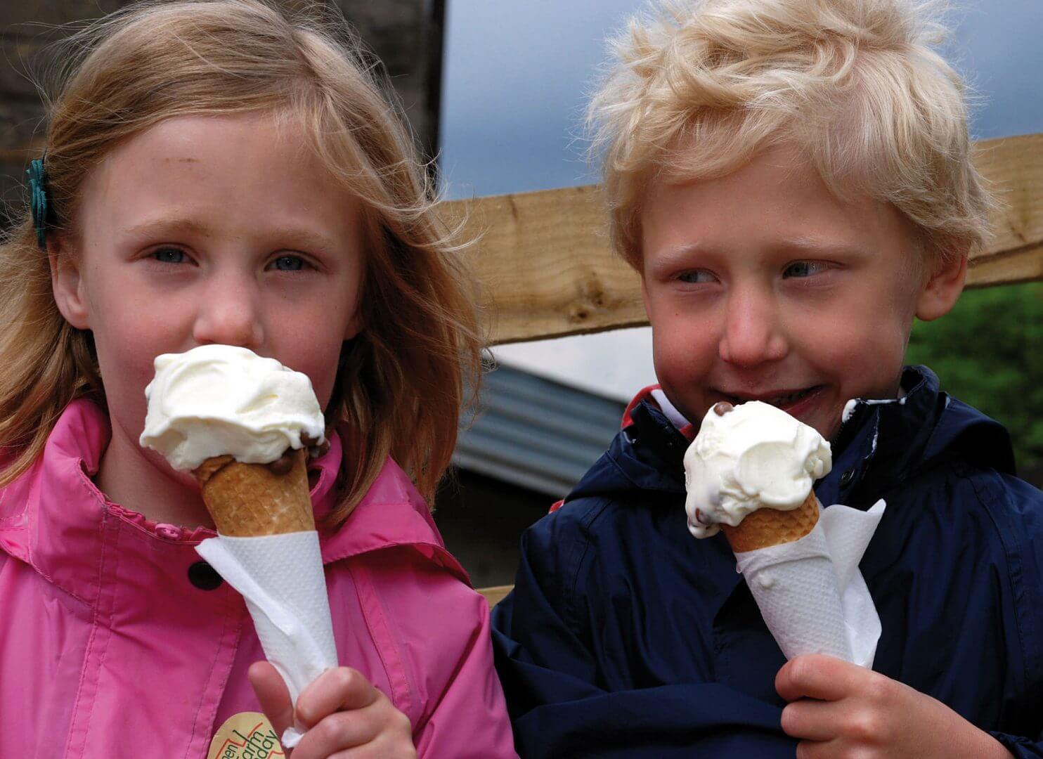 Thorpe Farm bunkhouses ice cream