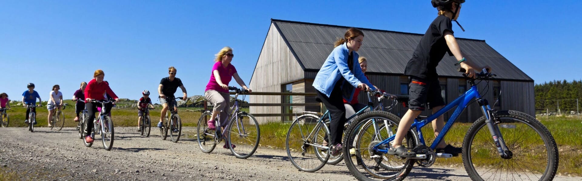 Become a green hosteller- bikes