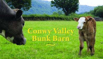 conwy valley