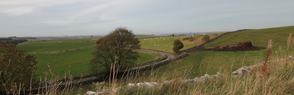 view from Tissington Trail dog walk close to the Royal Oak