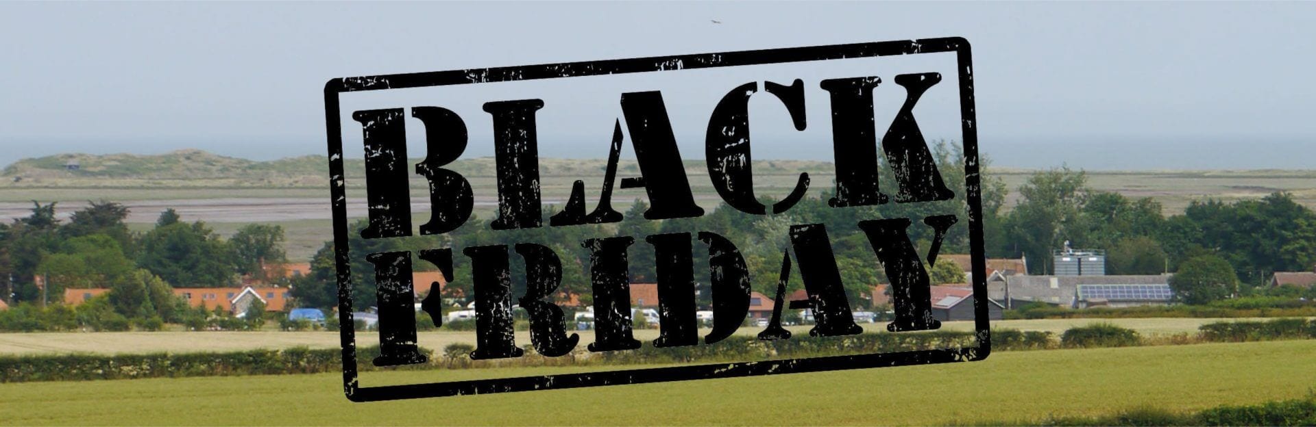 Black Friday Offer