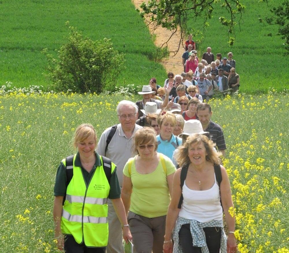 Lincolnshire Wolds walking festival spring fields