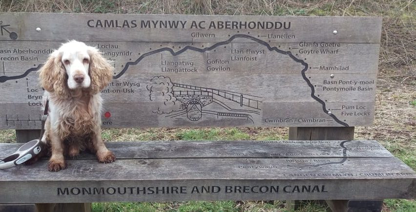 Monmouthshire and brecon canal by star bunkhouse dog friendly accommodation