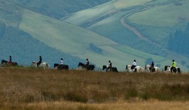 Horse riding holiday. Take your own horse on holiday with horse B & B, or join an organised trek.