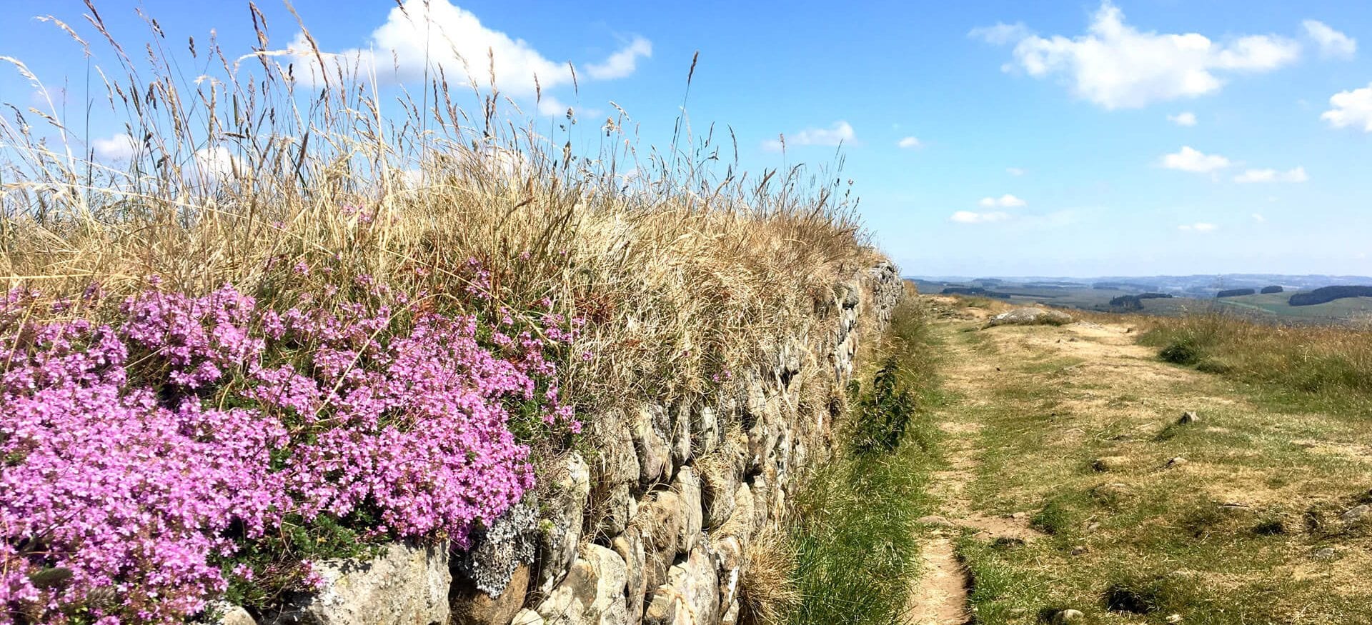 Greenhead to Bellingham Pennine Way meets Hadrians wall