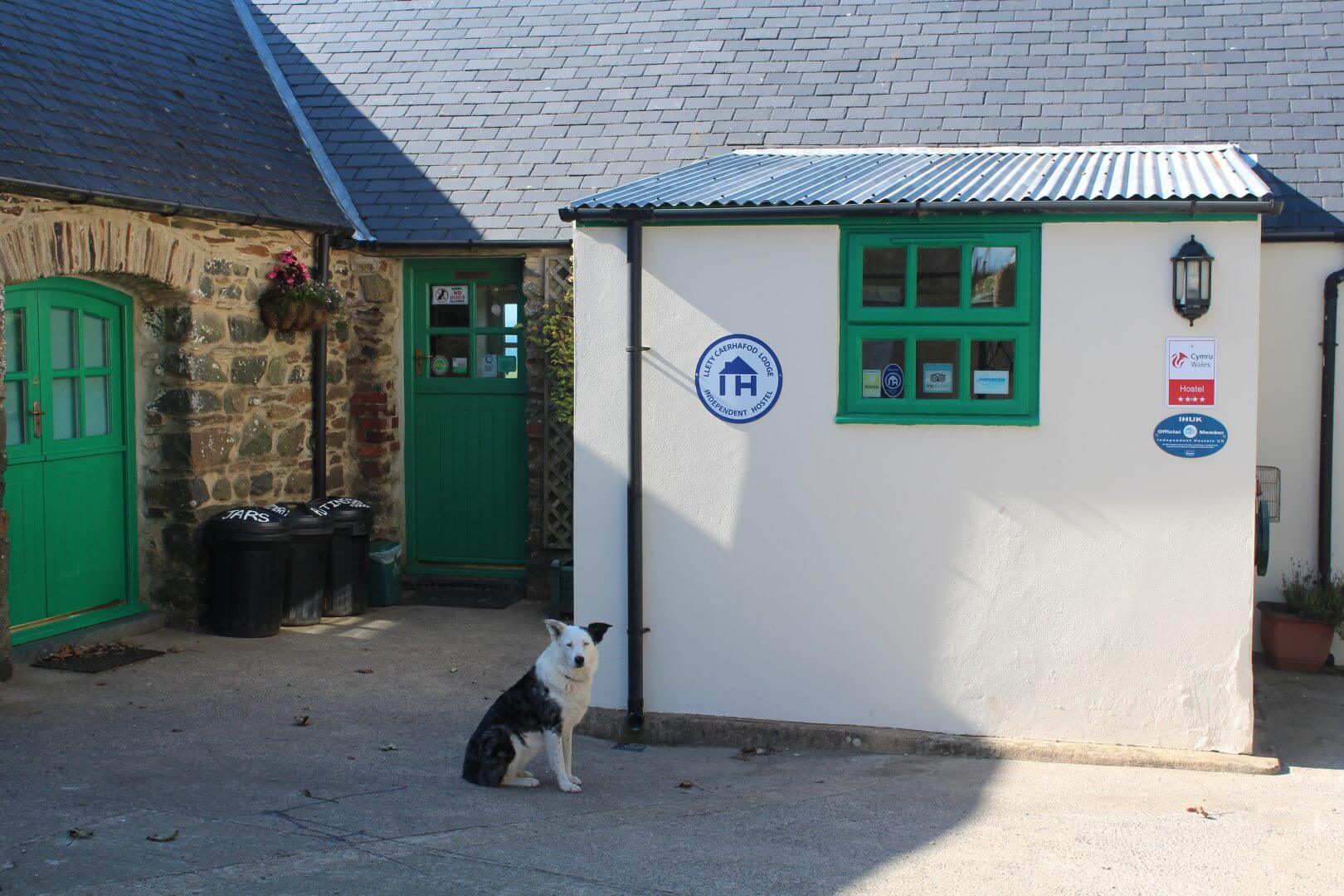 caerhafod lodge dog friendly accommodation in pembrokeshire
