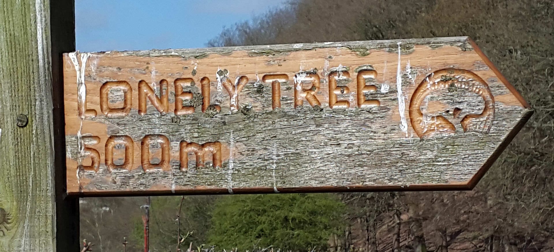 Llanfyllin lonely tree sign close to llanfyllin Workhouse Bunkhouse