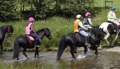 Mid Wales Bunkhouse - horse riding