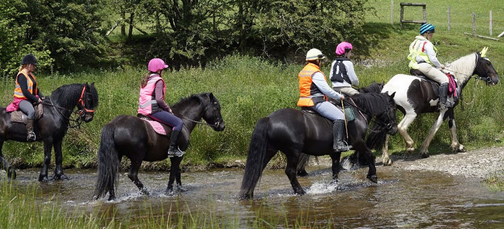 Mid Wales Bunkhouse - horse riding