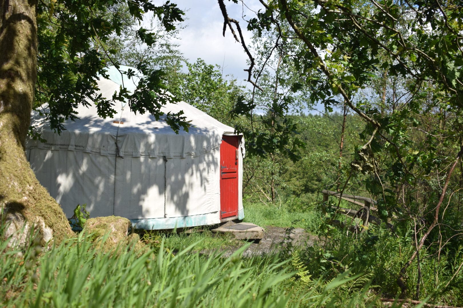 Family yurt at marthrown of mabie available for half term