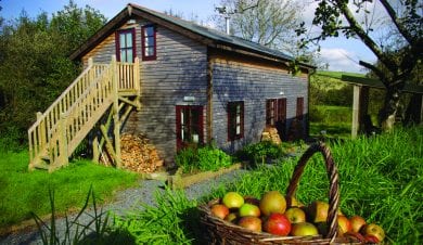 Yarde Orchard Bunkhouse with a basket of apples