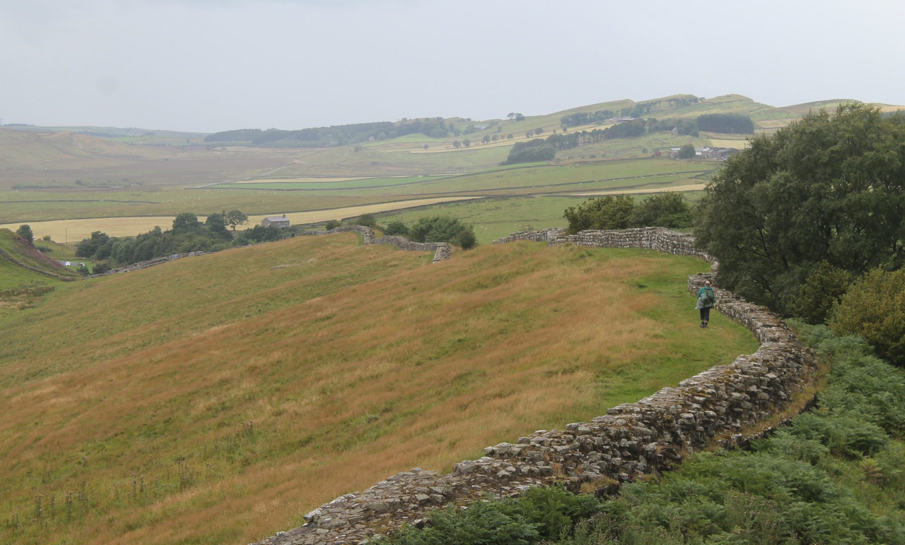 Walking along the wall. The fields are green and yellow and the wall stretches off into the distance 