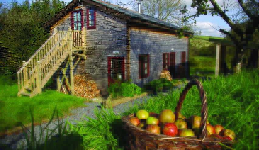 A picture of Yarde Orchard bunkhouse and camping building in the background and in the forground is a basket of apples