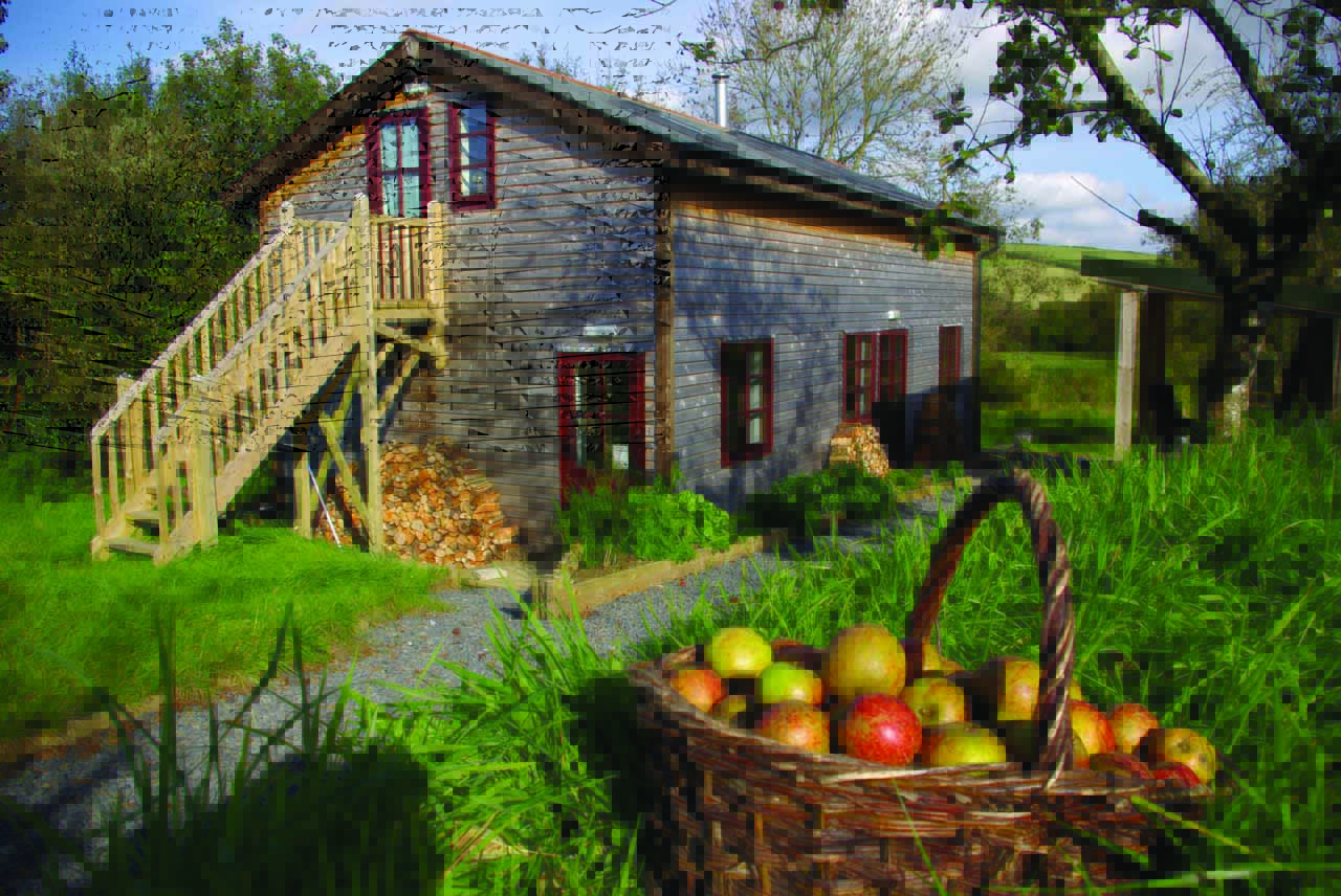 A picture of Yarde Orchard bunkhouse and camping building in the background and in the forground is a basket of apples