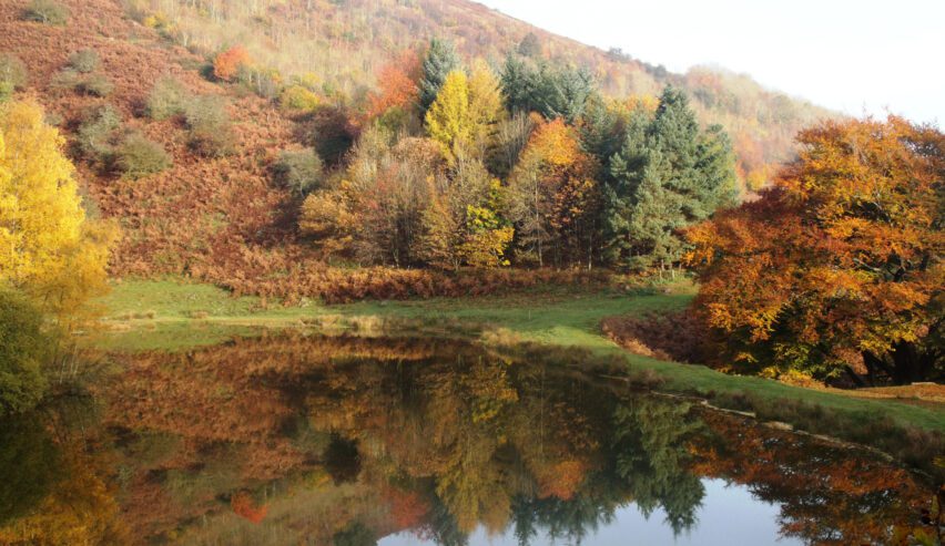 Autumnal view of the Punchbowl Lake, just 5 minutes walk from Middle Ninfa bunkhouse