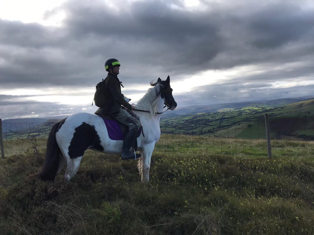 Horse and Rider B&b at Mid Wales Bunkhouse