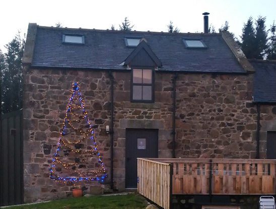 Christmas tree in lights on ilderton Dood Barn