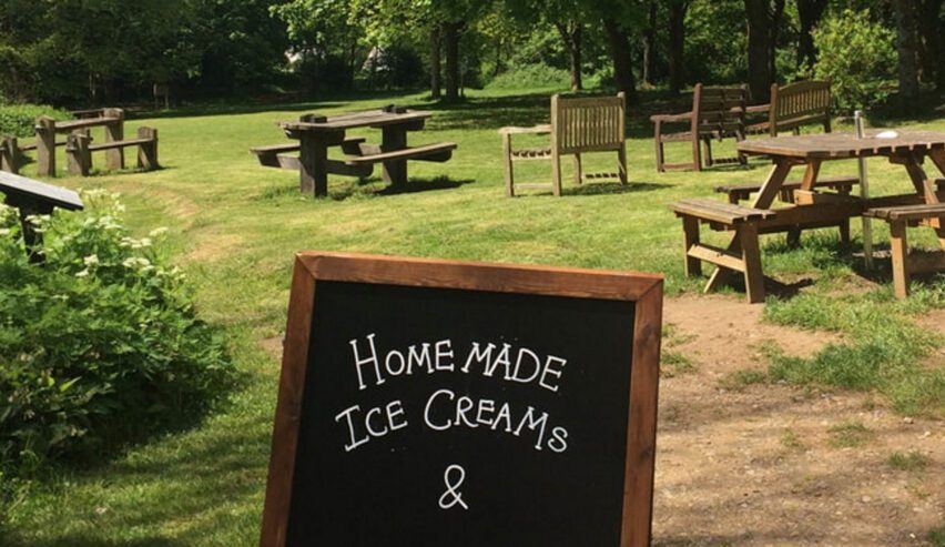 picnic benchs and ice creak at Wetherdown Lodge at The Sustainability Centre in the South Downs National Park