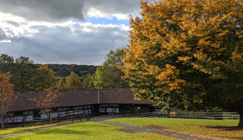 Exterior view of wooden buildings on the edge of woodland with golden autumnal colours