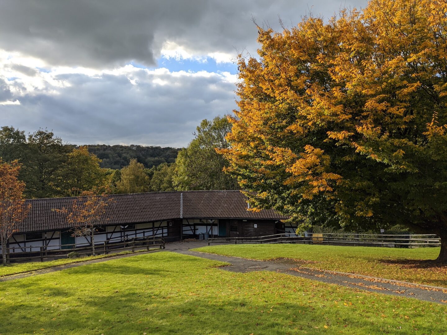 Exterior view of wooden buildings on the edge of woodland with golden autumnal colours
