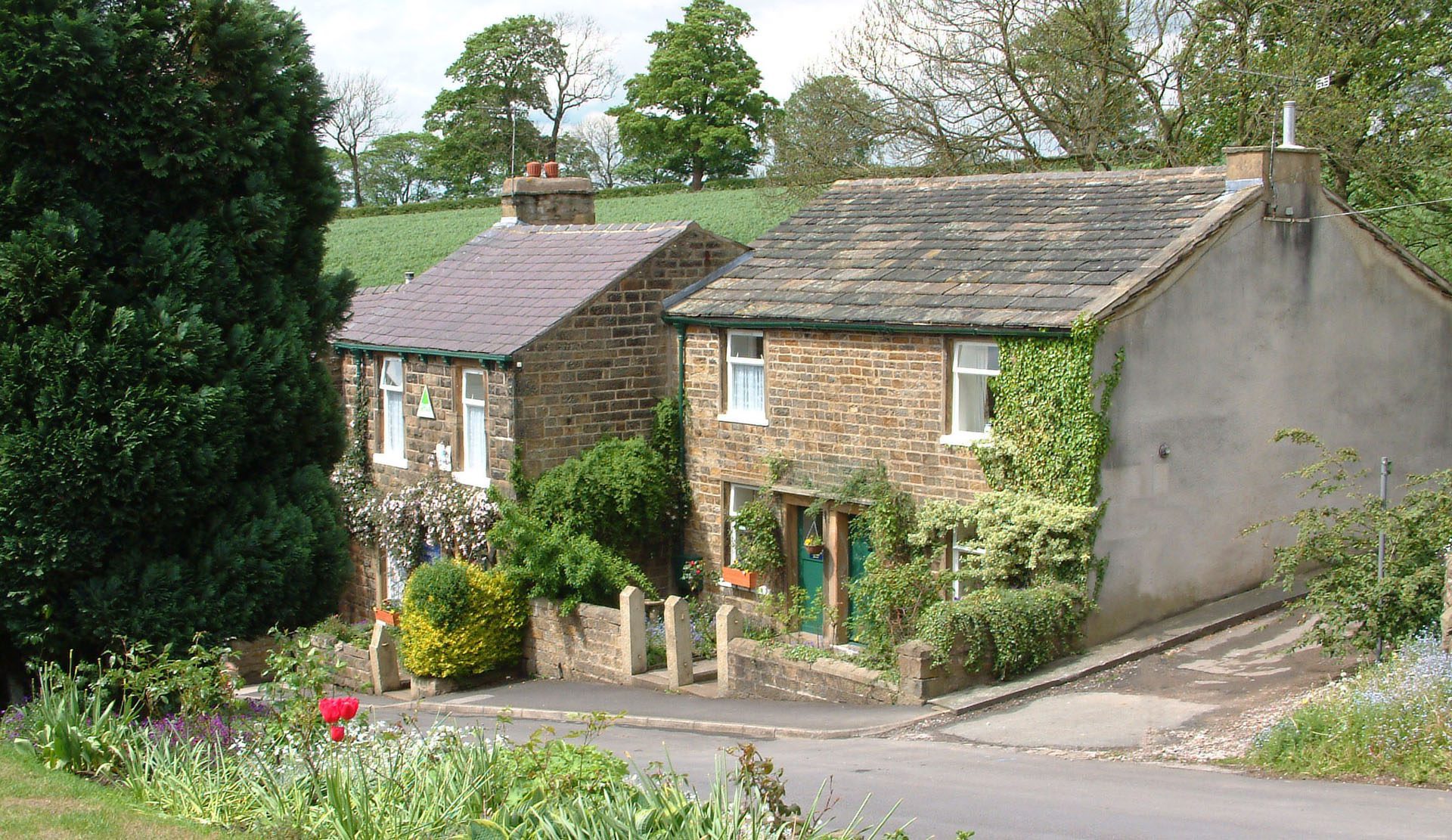 Earby hostel exterior. it is a sweet little cottage with vines growing up the walls 