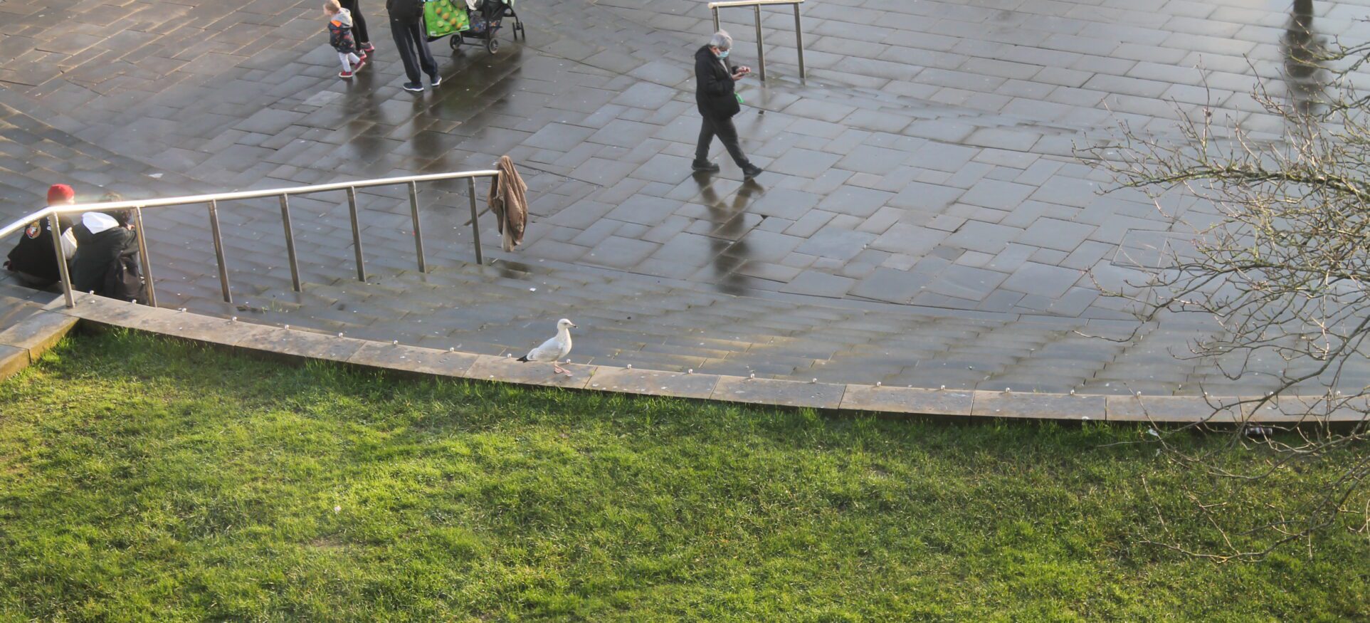 Seagull on castle square