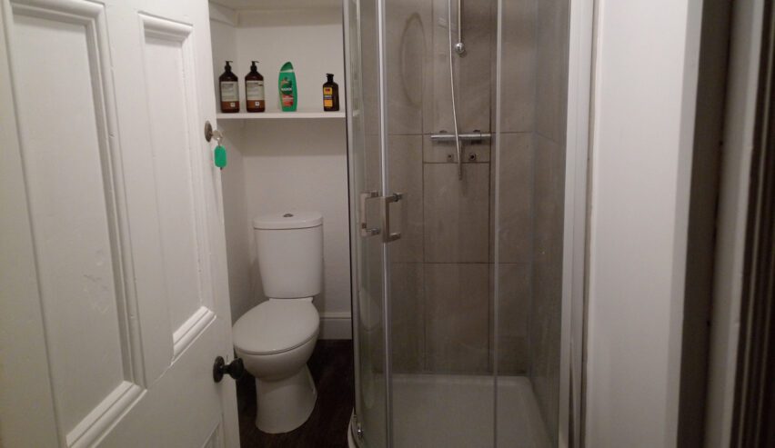 Shower room with WC