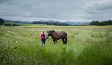 horse and lady in a field of long grass with mountains in the backgroud