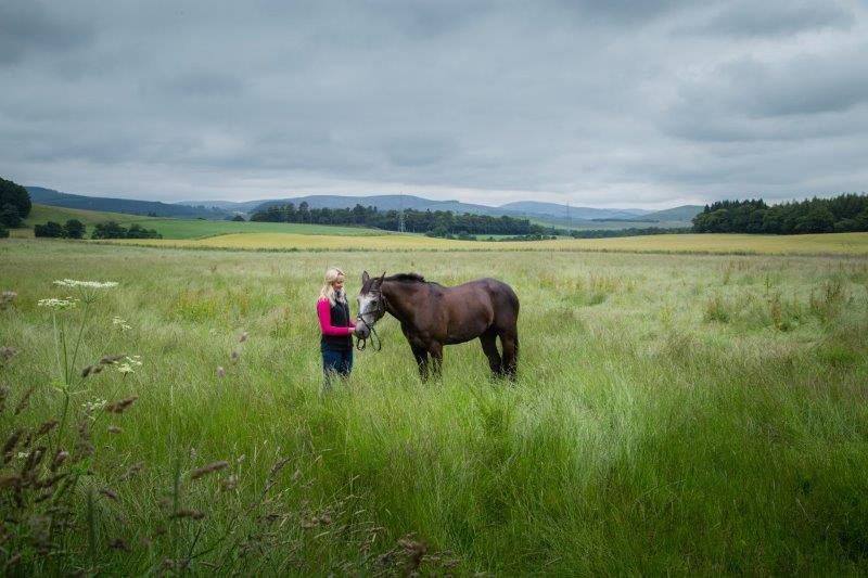horse and lady in a field of long grass with mountains in the backgroud