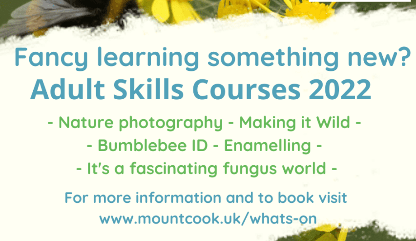 Advert for adult skills courses