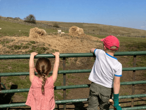Two children and spring lambs at ninebanks hostel