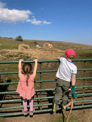 Two children and spring lambs at ninebanks hostel