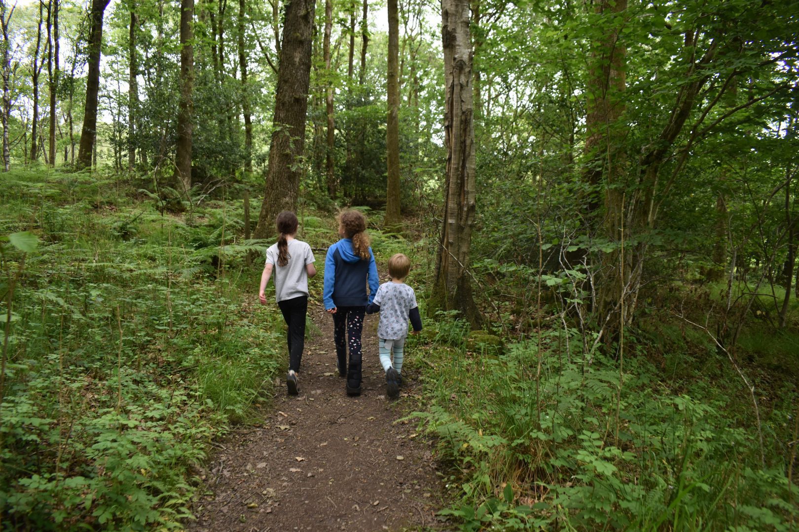 3 children walking through the woods