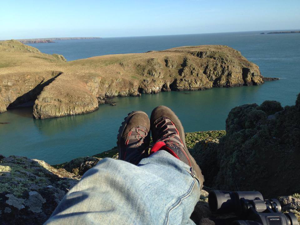 Looking over some wlkaing bookting across the sea to cliffs of Skomer