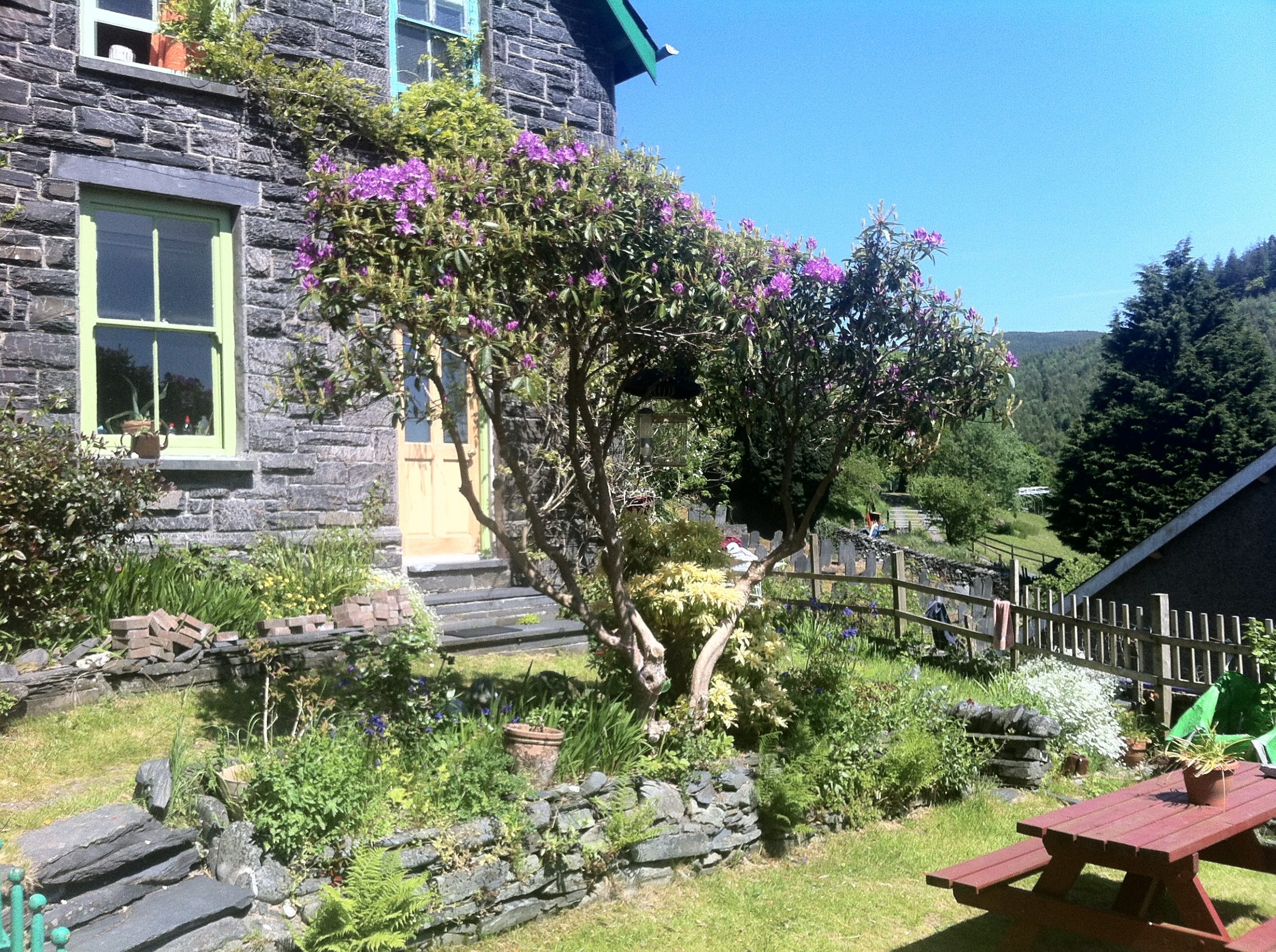 The exterior of corris hostel is very pretty and full of fresh flowers