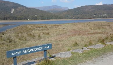View from the Mawddach trail